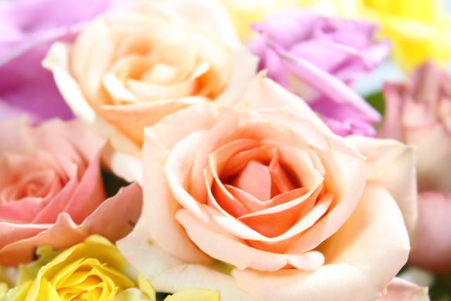 結婚式にオススメ 花が飾られたウェルカムスペース７選 ウェルカムドールのおすすめ比較ランキング